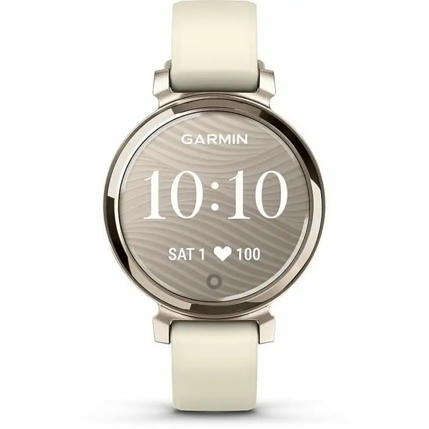 Orologio Uomo GARMIN 010-02839-00 Dorato 93412285