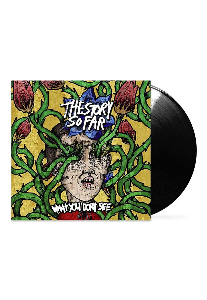 The Story So Far - What You Don't See - Vinile