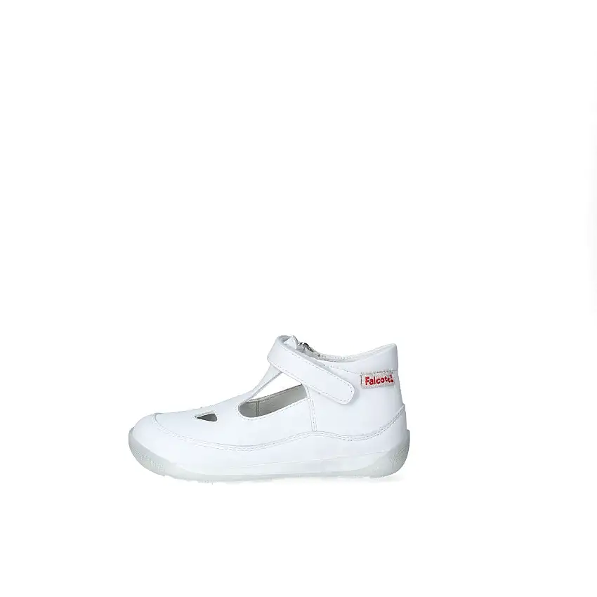 Occhi di Bue Bimba Falcotto 2016628.2