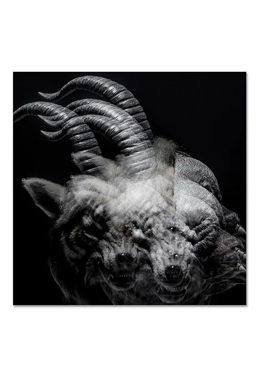 Dir En Grey - Beautiful Deformity - CD