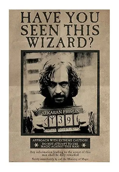 Harry Potter - Wanted Sirius Black Maxi - Poster
