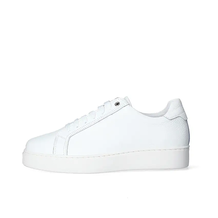 Sneakers Uomo Exton 830
