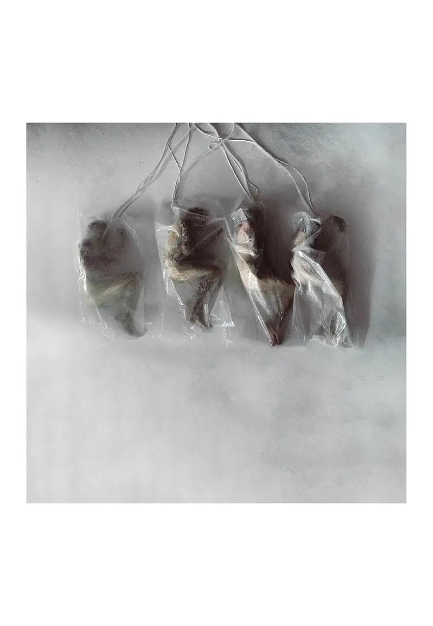 Crown The Empire - Sudden Sky - CD