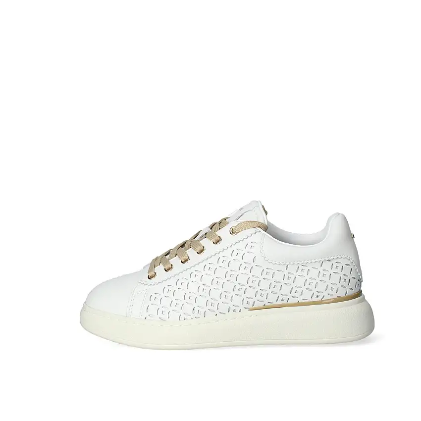 Sneakers Donna Alberto Guardiani AGW438000