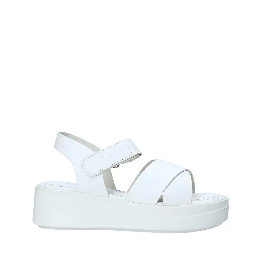 Impronte Sandali Zeppa IL01526A