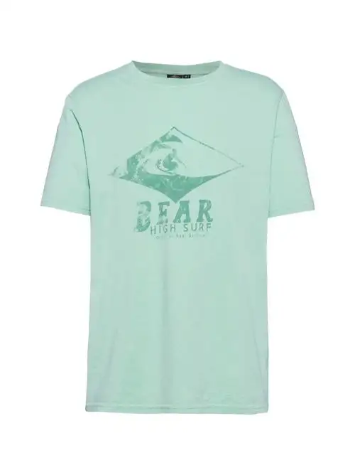 BEAR T-SHIRT 91857337