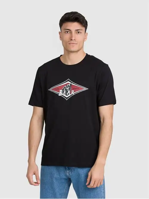 BEAR T-SHIRT 32617793