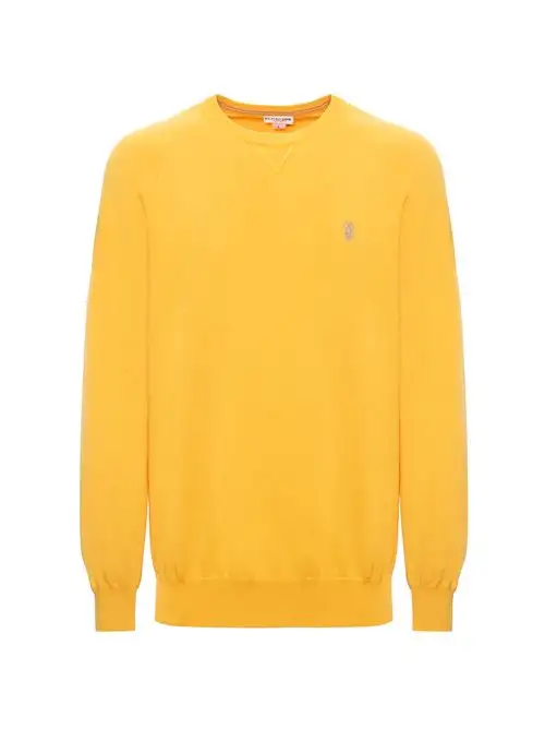 U.S. POLO ASSN MAGLIA 36728836