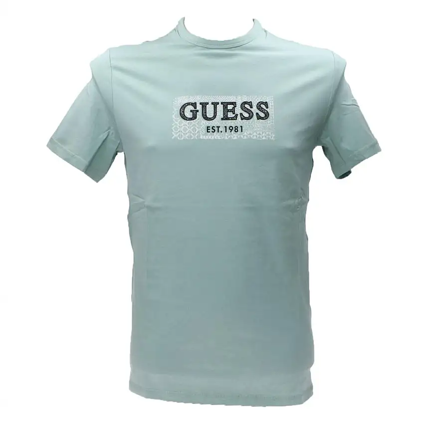 SS CN BOX TEE Verde menta