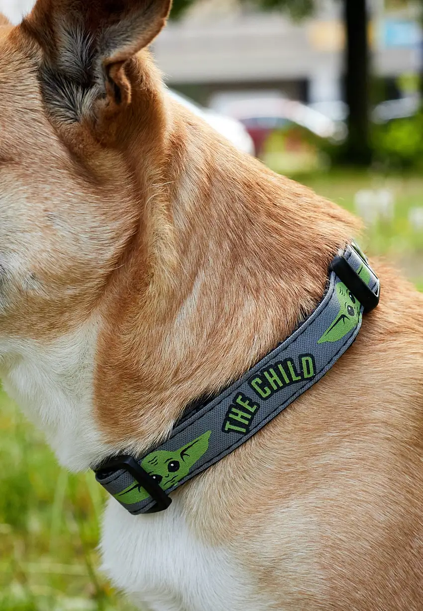The Mandalorian - The Child - Dog Collar