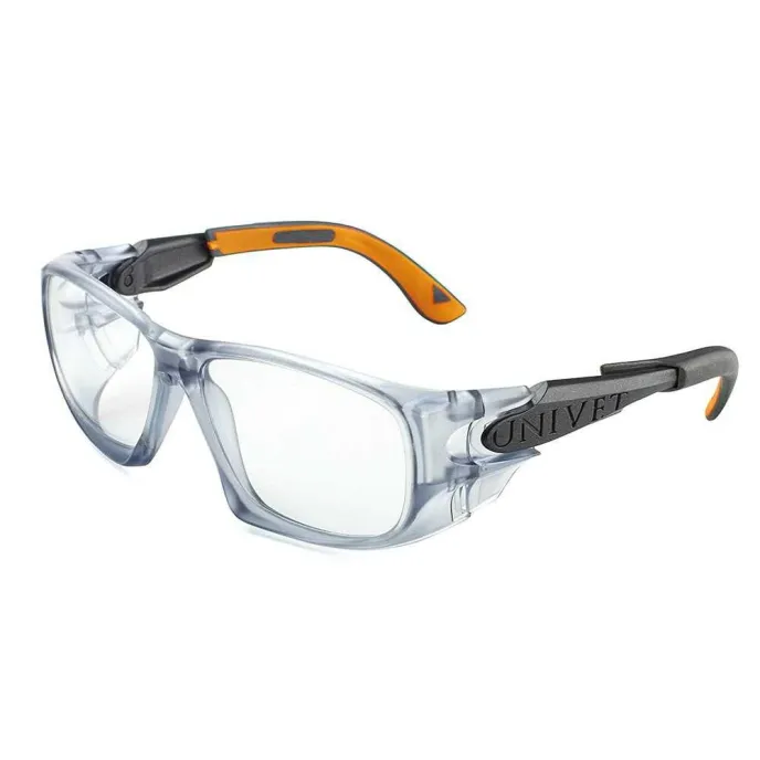 Occhiali da lavoro Logica 5X9/01