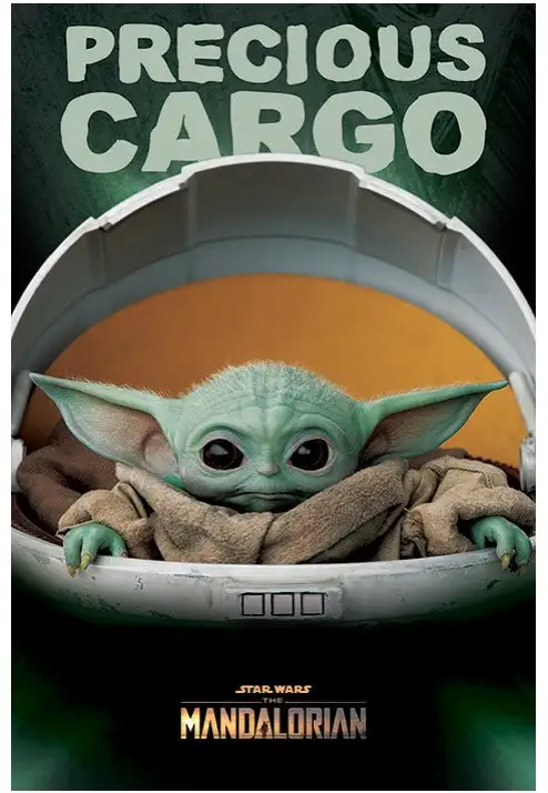 The Mandalorian - Precious Cargo Maxi - Poster