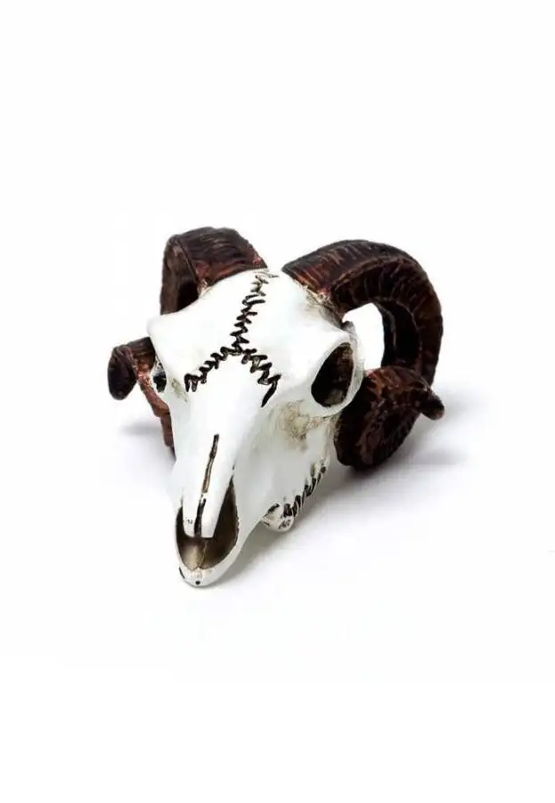 Alchemy England - Rams Skull Miniature - Statua